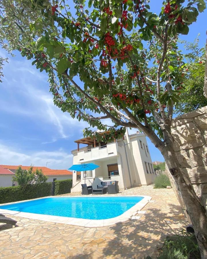 Villa Cvita Povljana Exterior photo